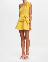 Acler - Drake Mini Dress