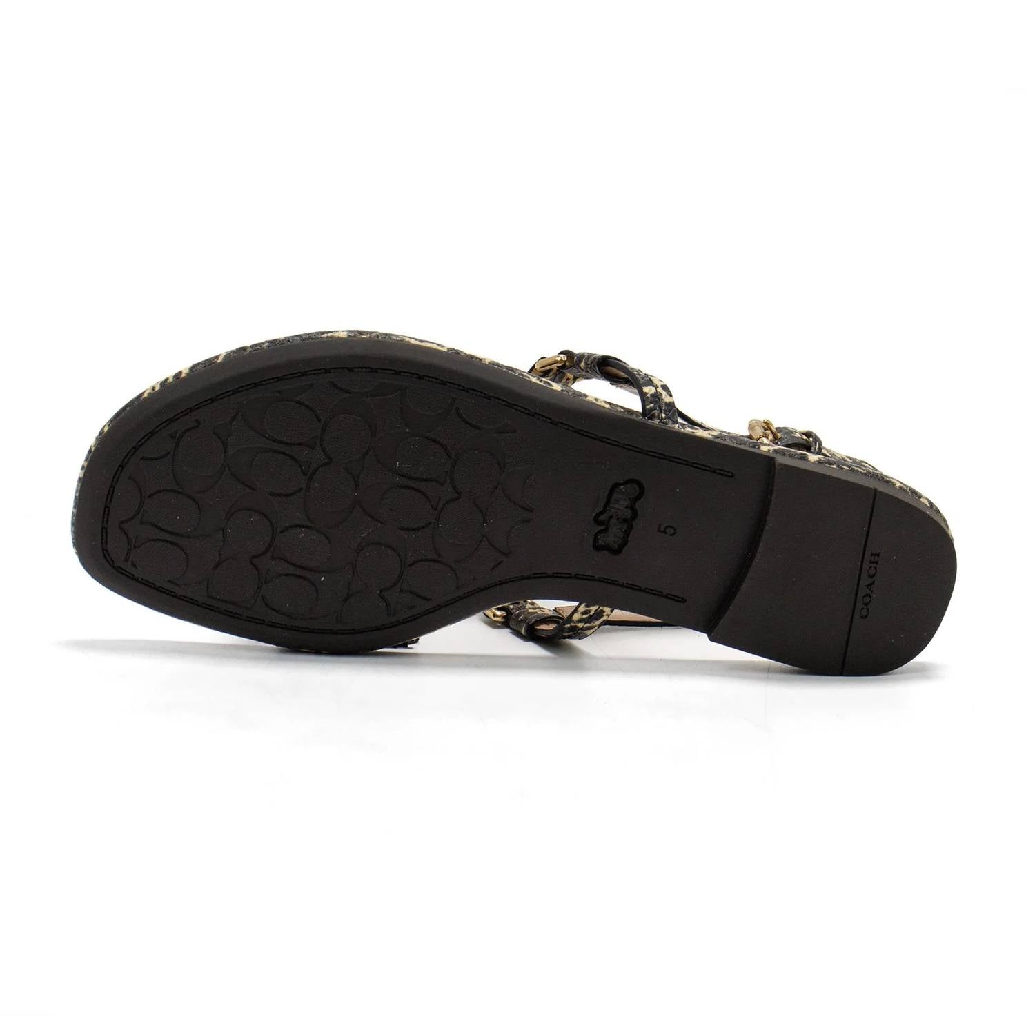Coach - Women's Jeri Printed Flip-flop Sandal