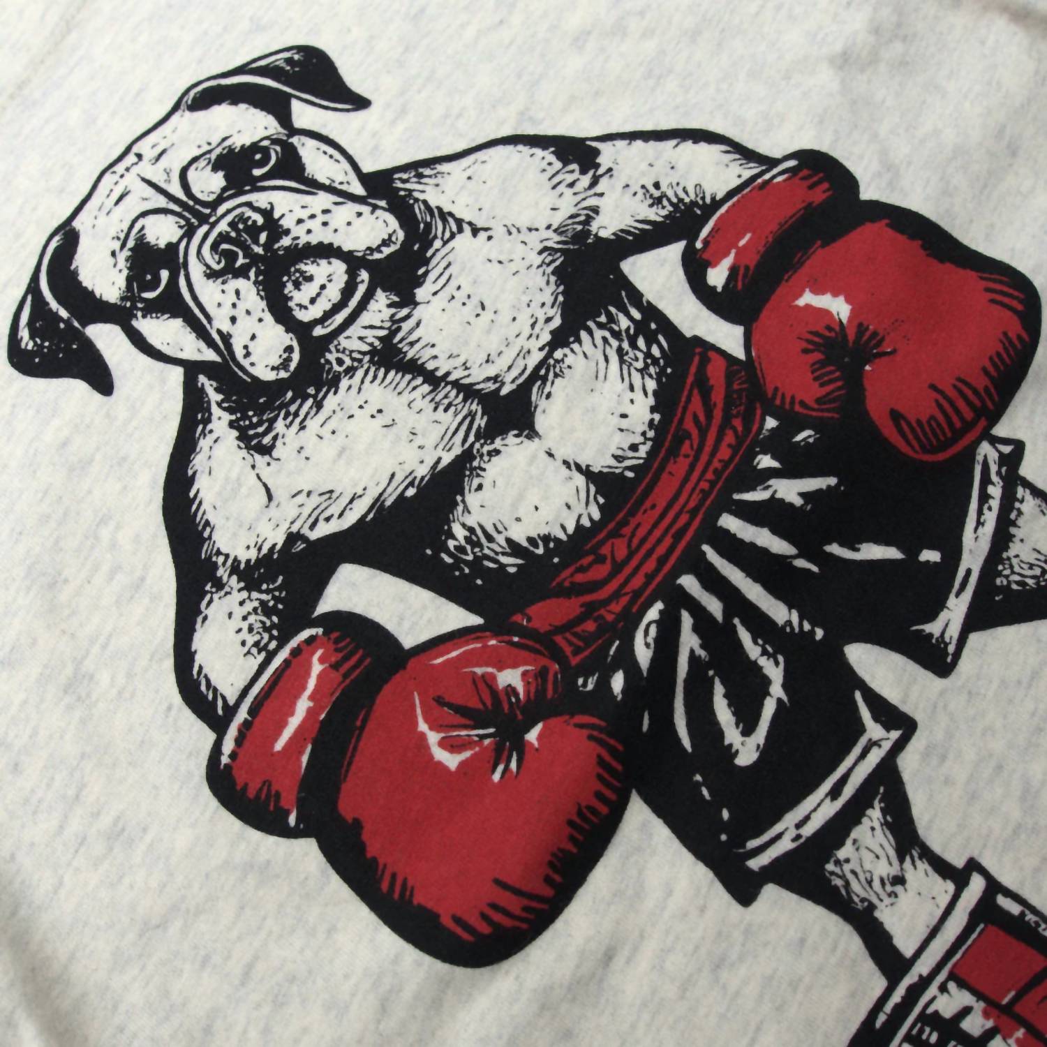 Appaman - Boys' Boxer Graphic Long Sleeve Tee