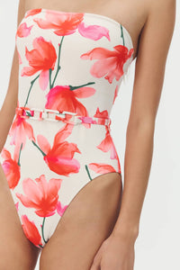Hutch - Vivi One Piece