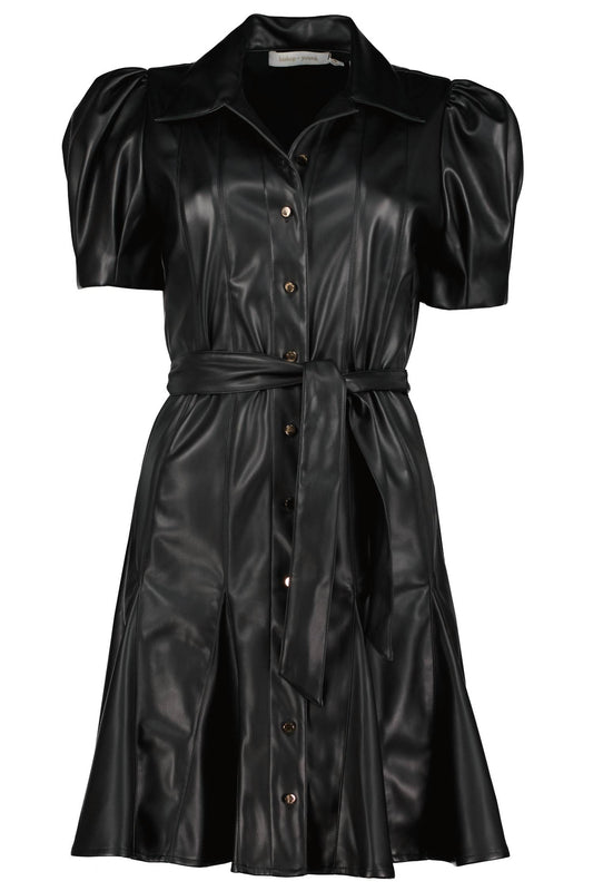 Clea Vegan Leather Dress