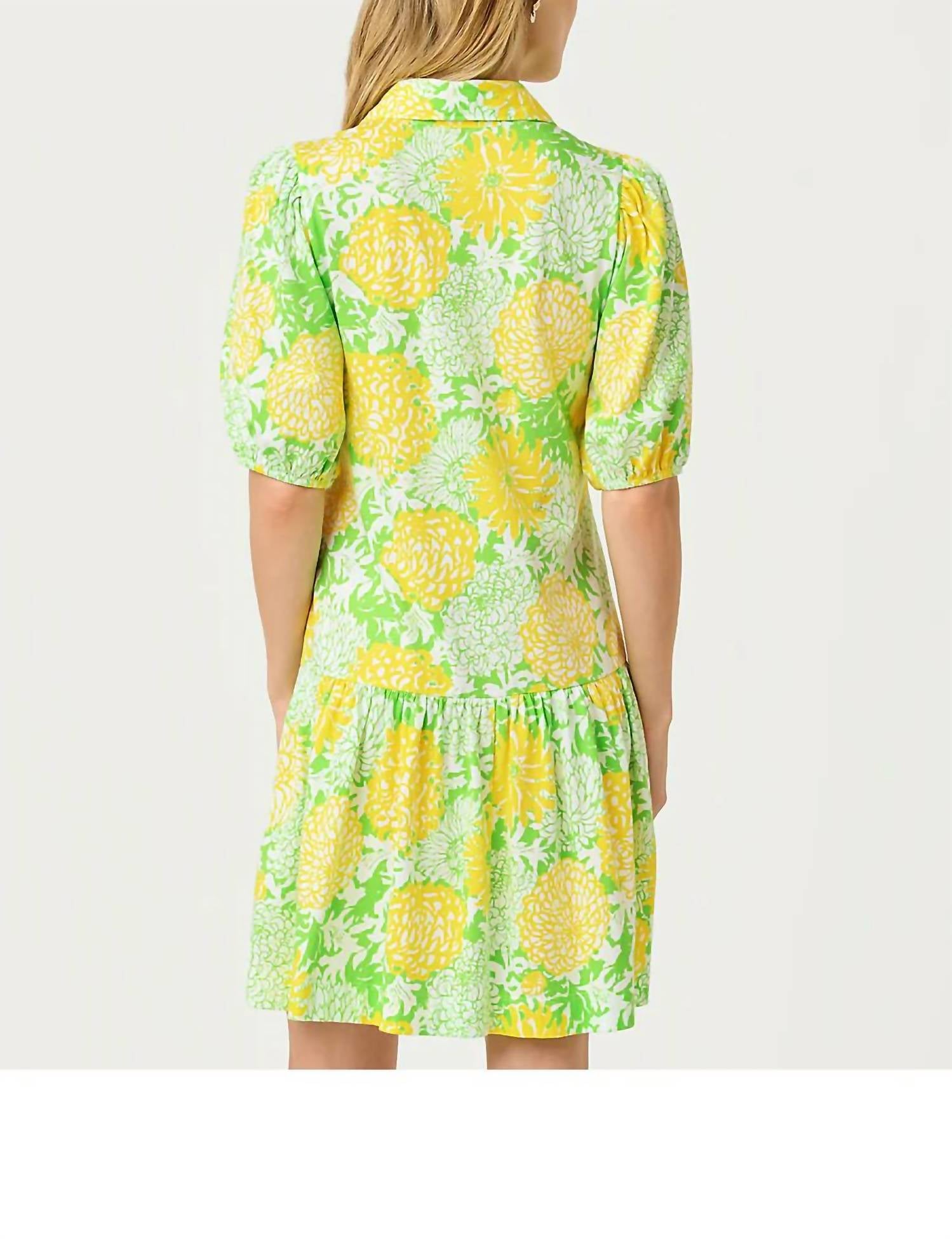 Lilly Pulitzer - Bingley Dress