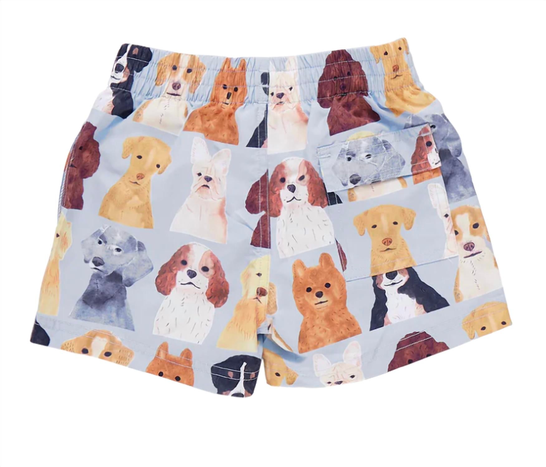 Pink Chicken - Boy's Swim Trunks