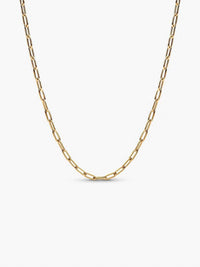 Pandora - Elongated Link Chain Necklace