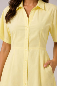 Theory - Pleated Shirt Dress