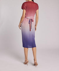 Wild Cosmos Valentina Ombre Plisse Midi Dress in sunset multi - women's dress - alternate view