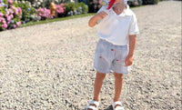 Piping Prints - Boy's Embroidered American Flag Seersucker Shorts