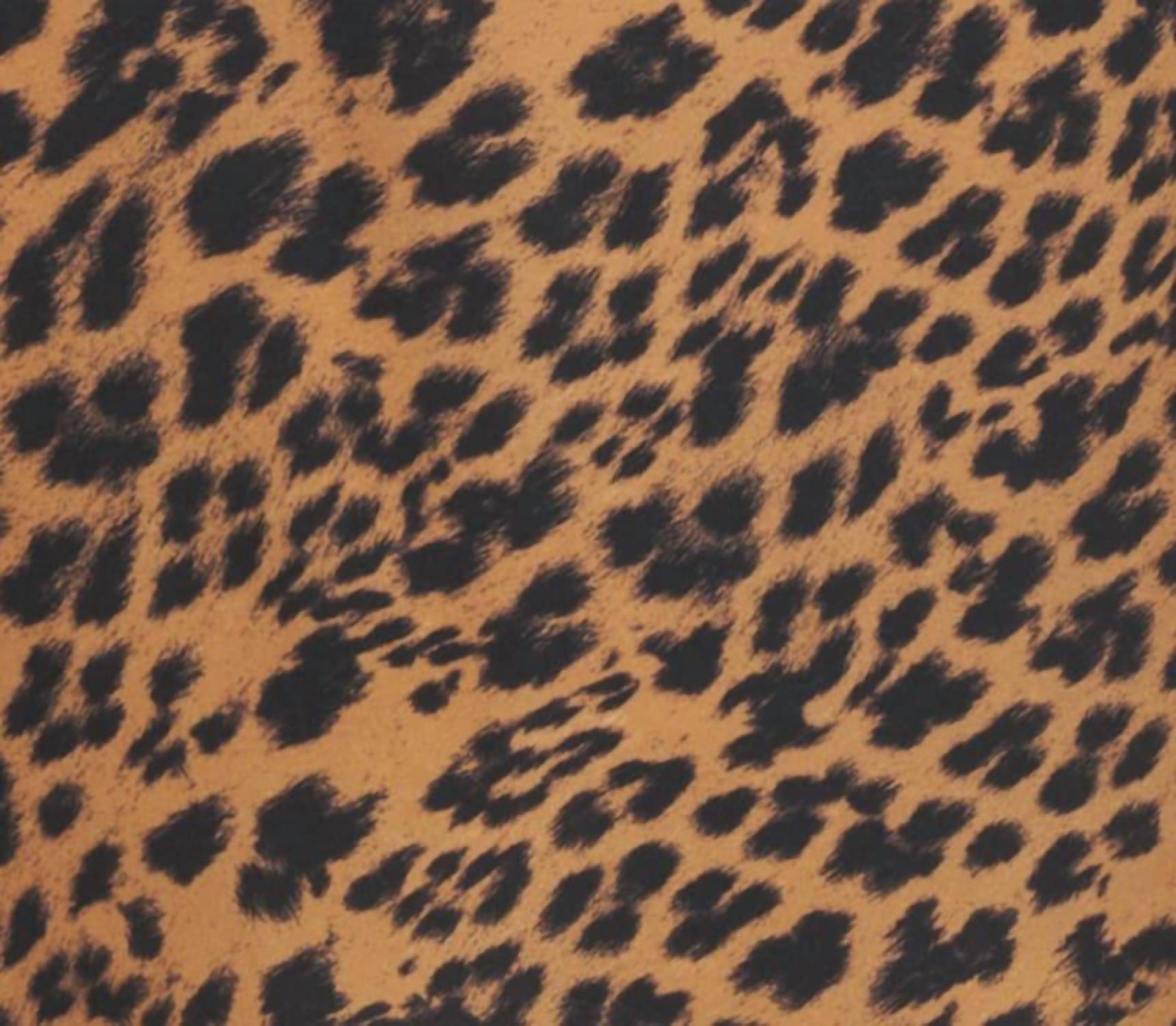 Rumored - Venice Leopard Mini Dress