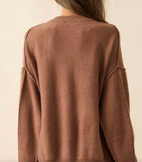 PROMESA Embroidered Tigers Sweater in brown - women's sweater - alternate view
