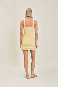 Devon Windsor - Willamina dress