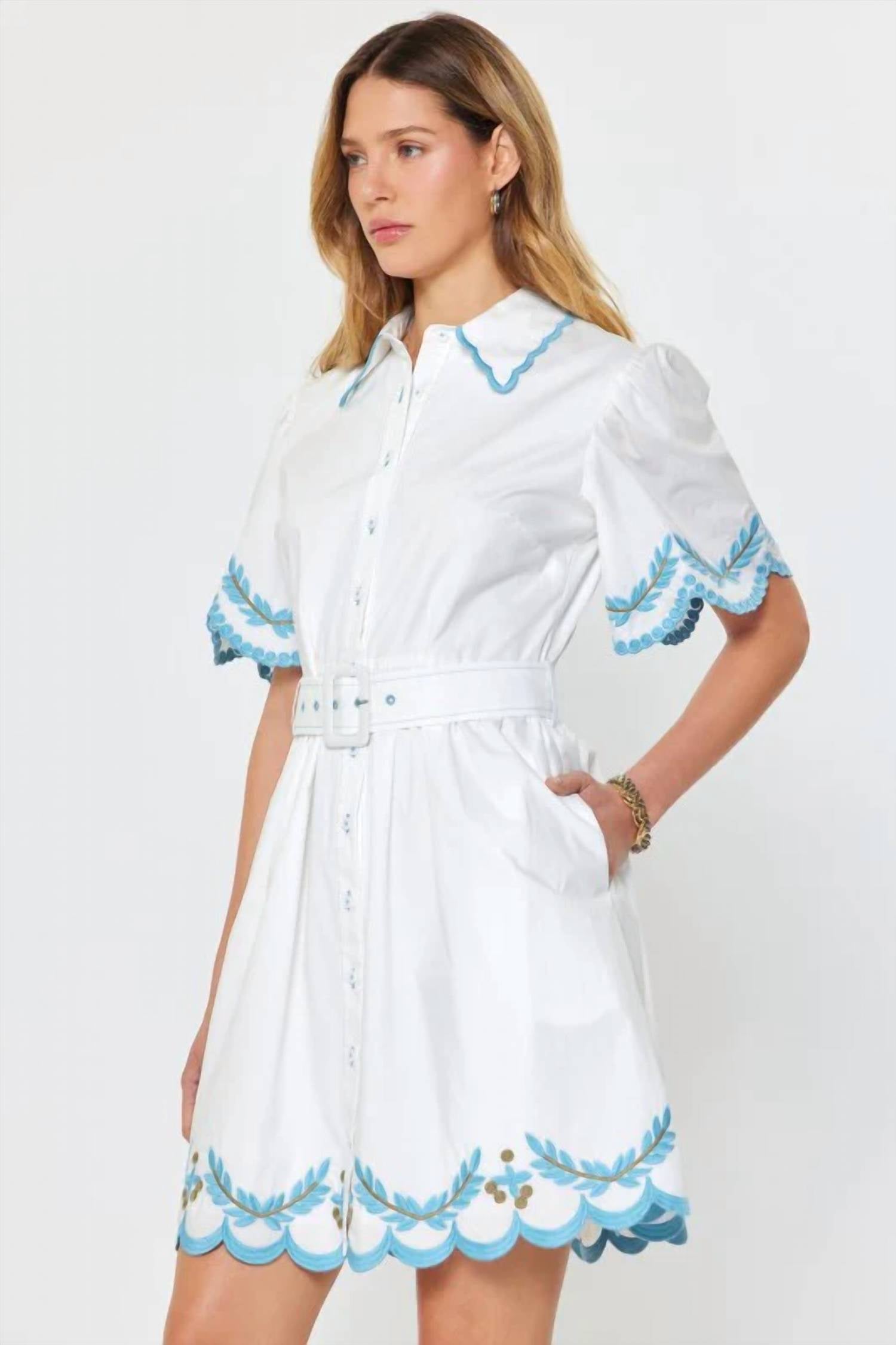 Current Air - Aria Embroidered Mini Dress