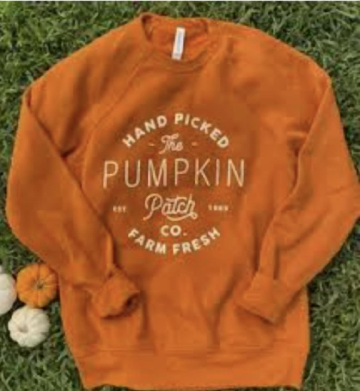 Jackson James - Women's Pumpkin Patch Sweatshirt