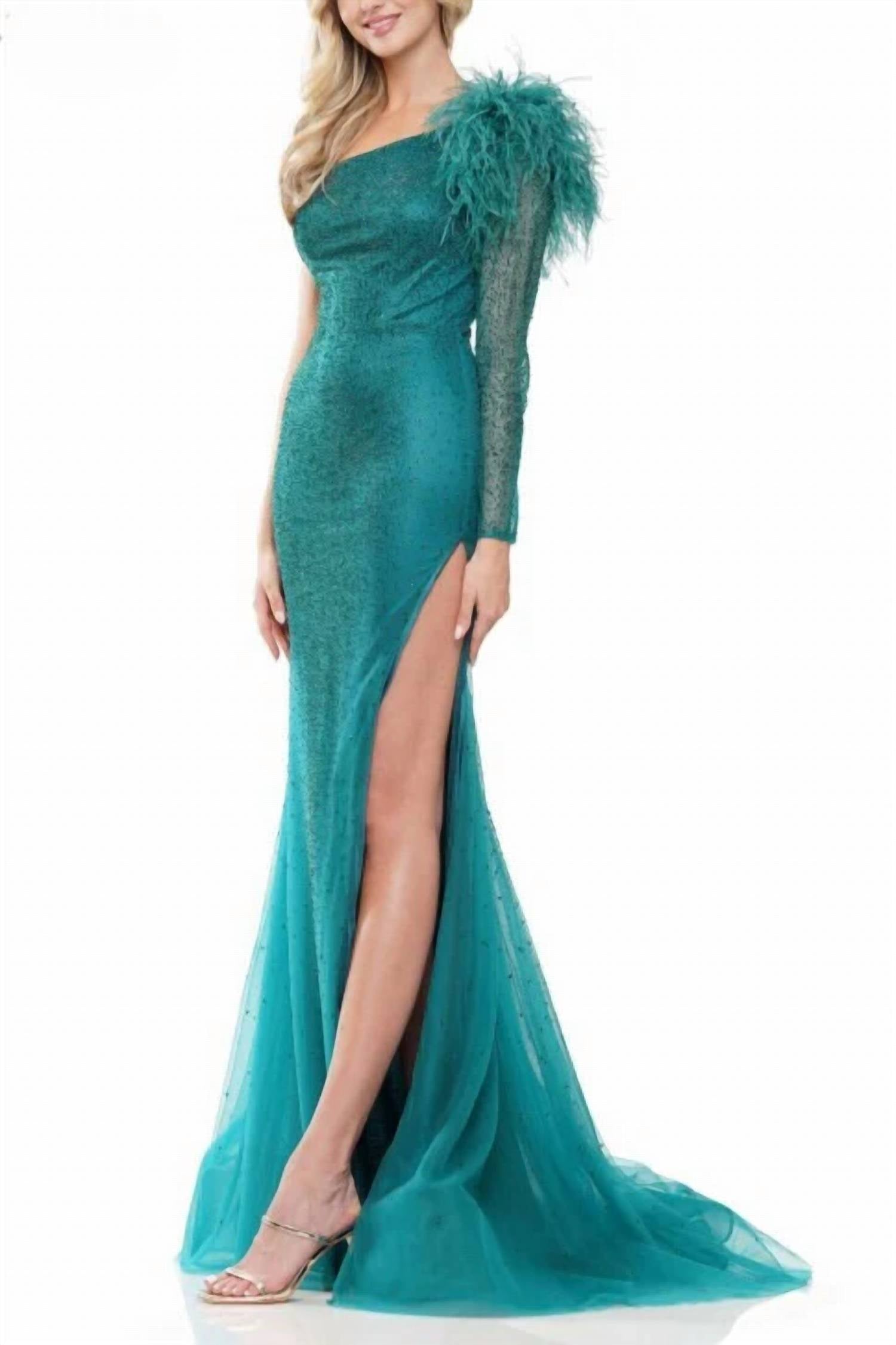 Colors Dress - One Shoulder Mesh Long Sleeve And Feathers Mermaid Gown