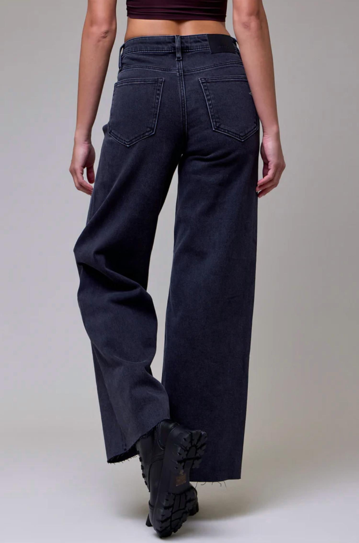 HIDDEN Nori Clean Cut Charcoal - women's jeans - alternate view