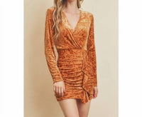Dress Forum - Velvet Burnout Ruched Mini Dress