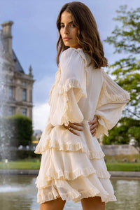 Strawberry Paris - Shailin Mini Dress
