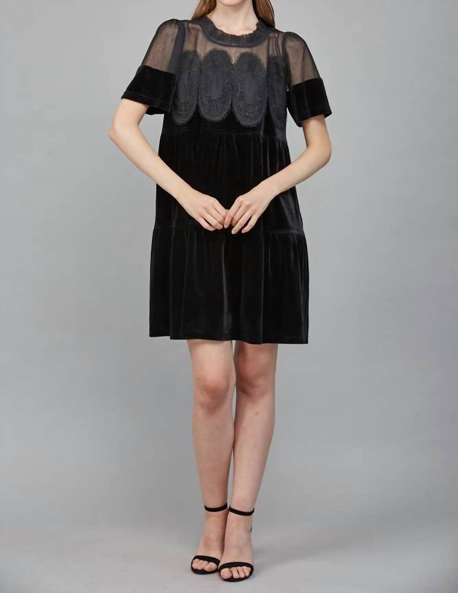 Fate - Contrast Sheer Mesh Intricate Lace Detail Mini Dress