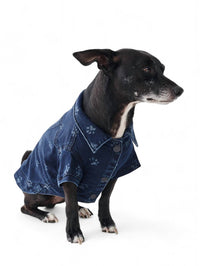 Dl1961 - Pet'S - FIDO CANINE TRUCKER JACKET