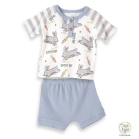 Tesa Babe - "Easter Parade" Henley Tee & Shorts for Baby Boys