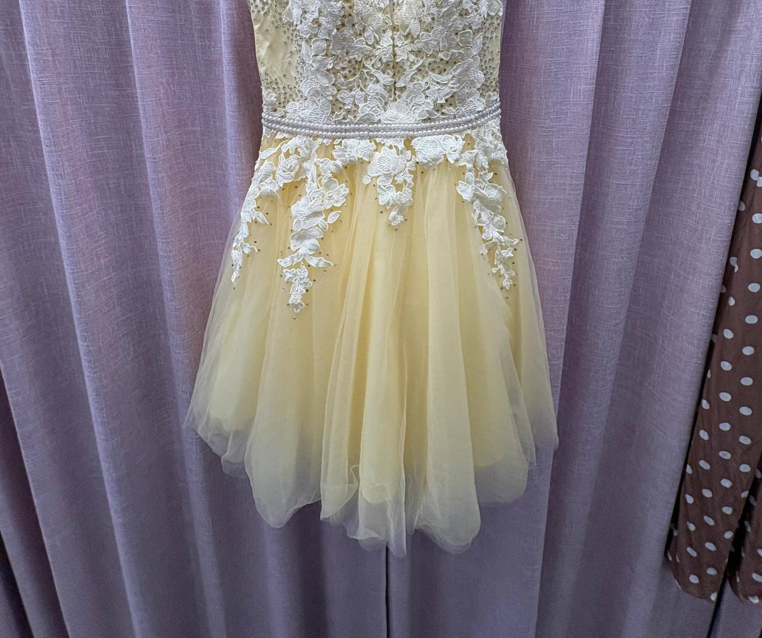 Dave & Johnny - Tulle And Lace Appliqué Mini Dress