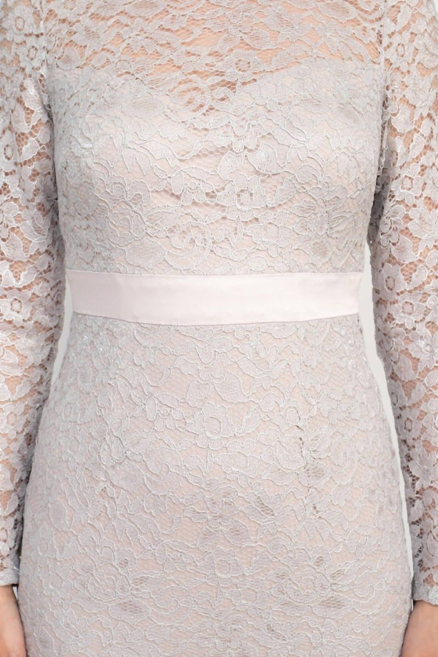 Adrianna Papell - Crew Neck Illusion Embellished Back Lace Dress