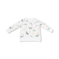 ANGEL DEAR Boy's Soft Dinos French Terry Raglan Set in multi - item - detail view