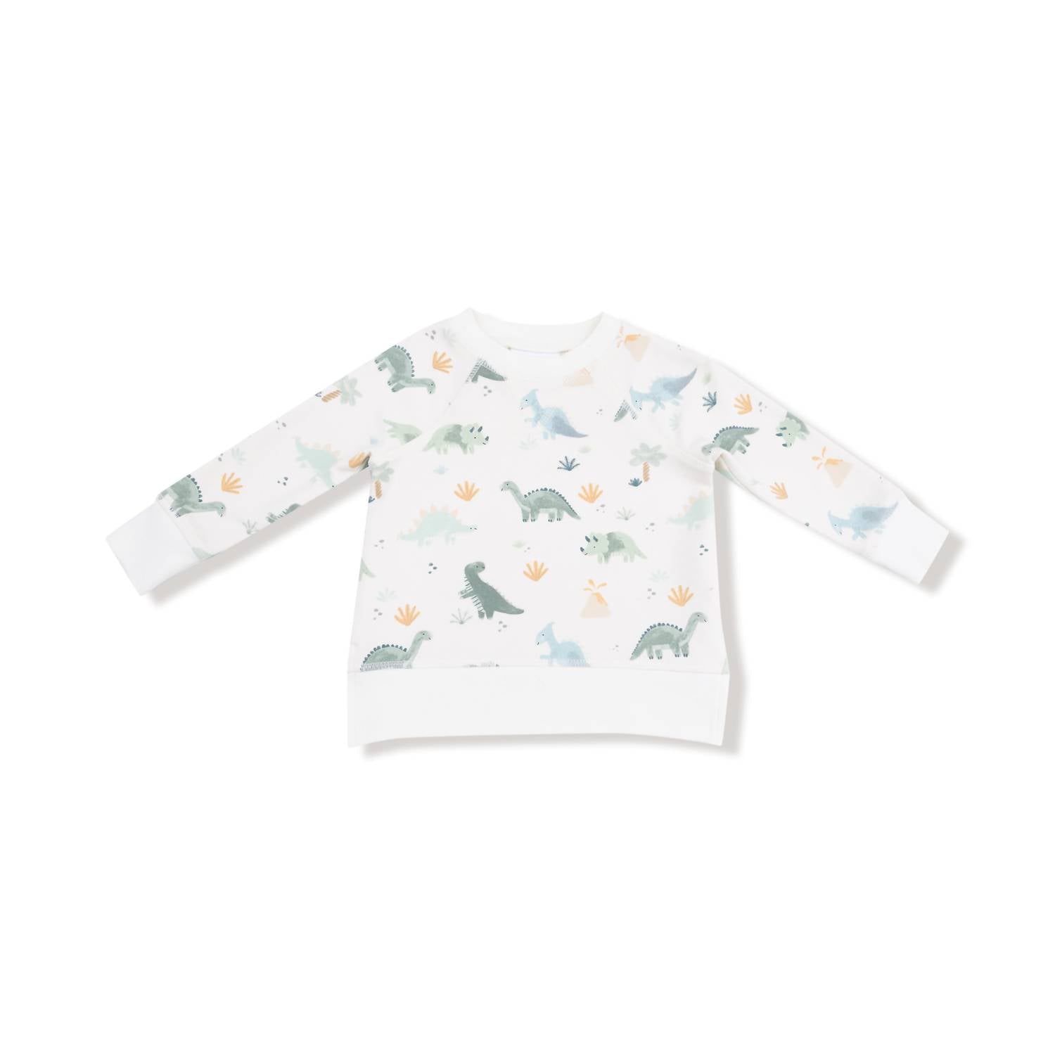 ANGEL DEAR Boy's Soft Dinos French Terry Raglan Set in multi - item - detail view