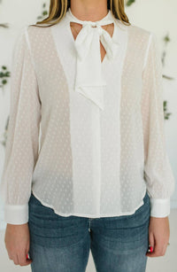 Long Sleeve Neck Tie Blouse