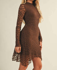 Mustard Seed Tessa Lace Long Sleeve Dress in brown - women's dress - alternate view