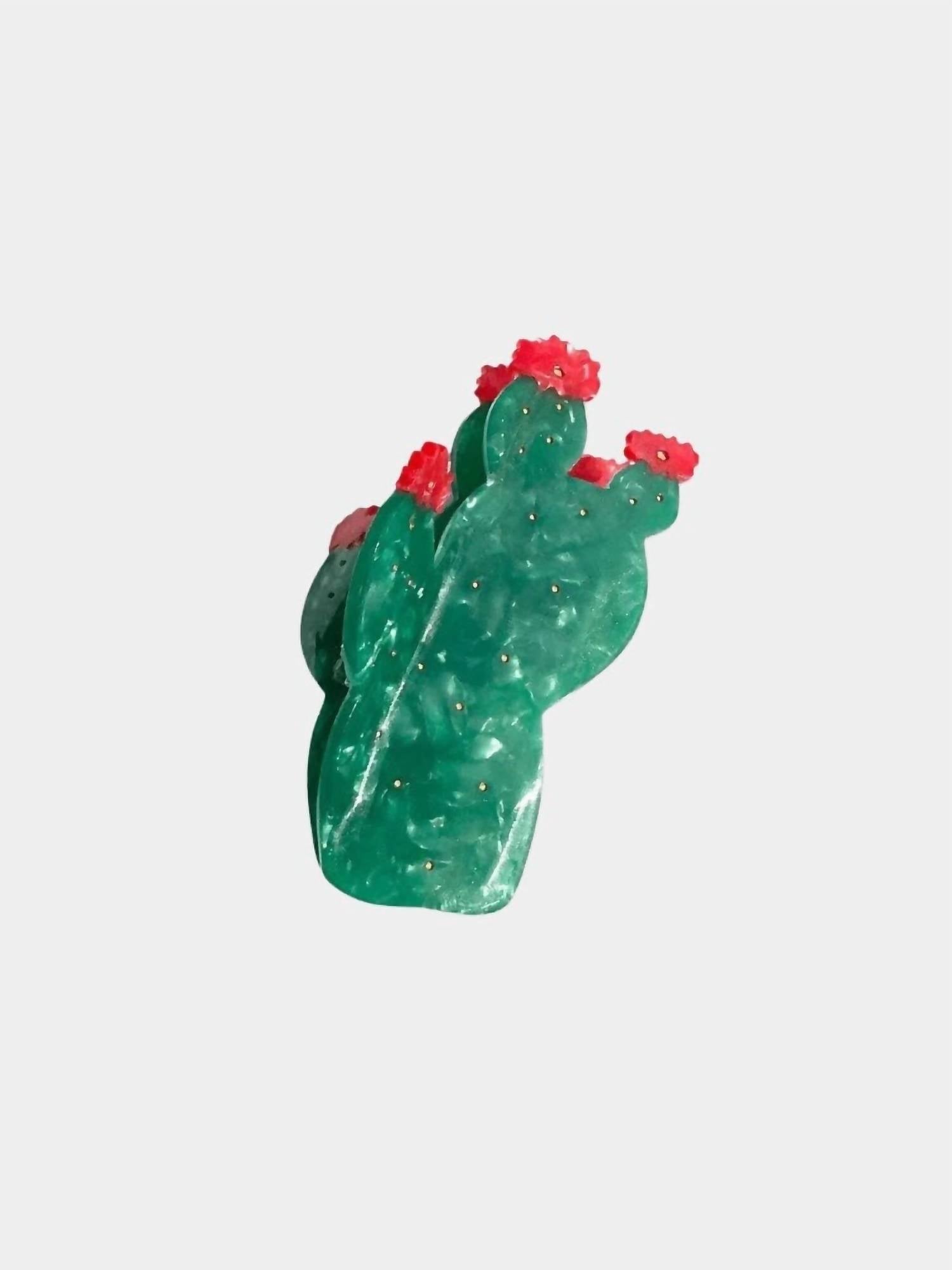Solar Eclipse - Women's Prickly Pear Cactus Claw Clip