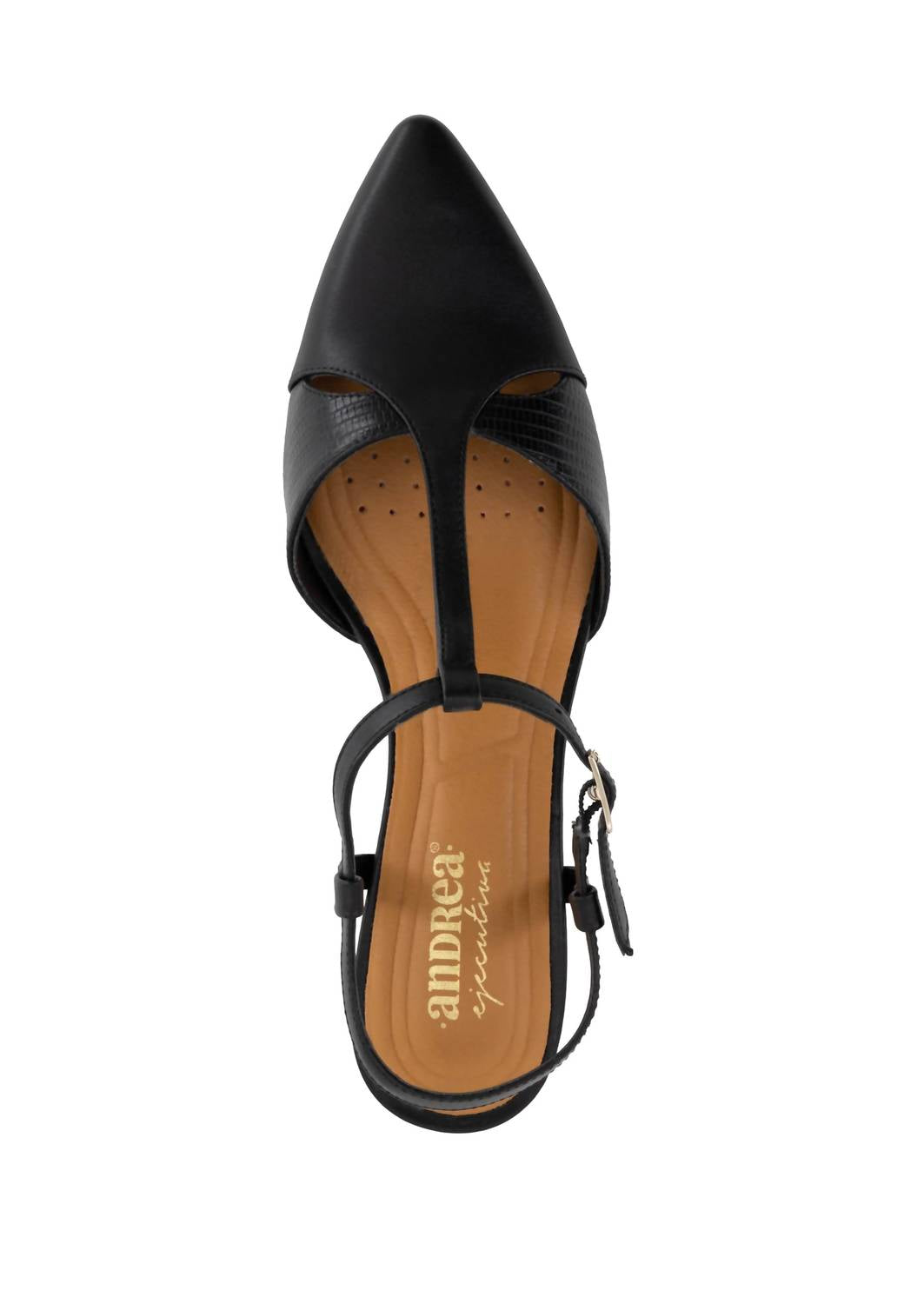 Andrea Women's Kitten Heels Slingback Pump in black - women's heels - alternate view