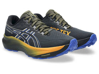 Asics - Men's Gt 2000 14 Gtx Shoes
