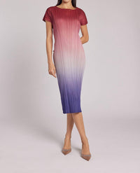 Wild Cosmos Valentina Ombre Plisse Midi Dress in sunset multi - women's dress - detail view
