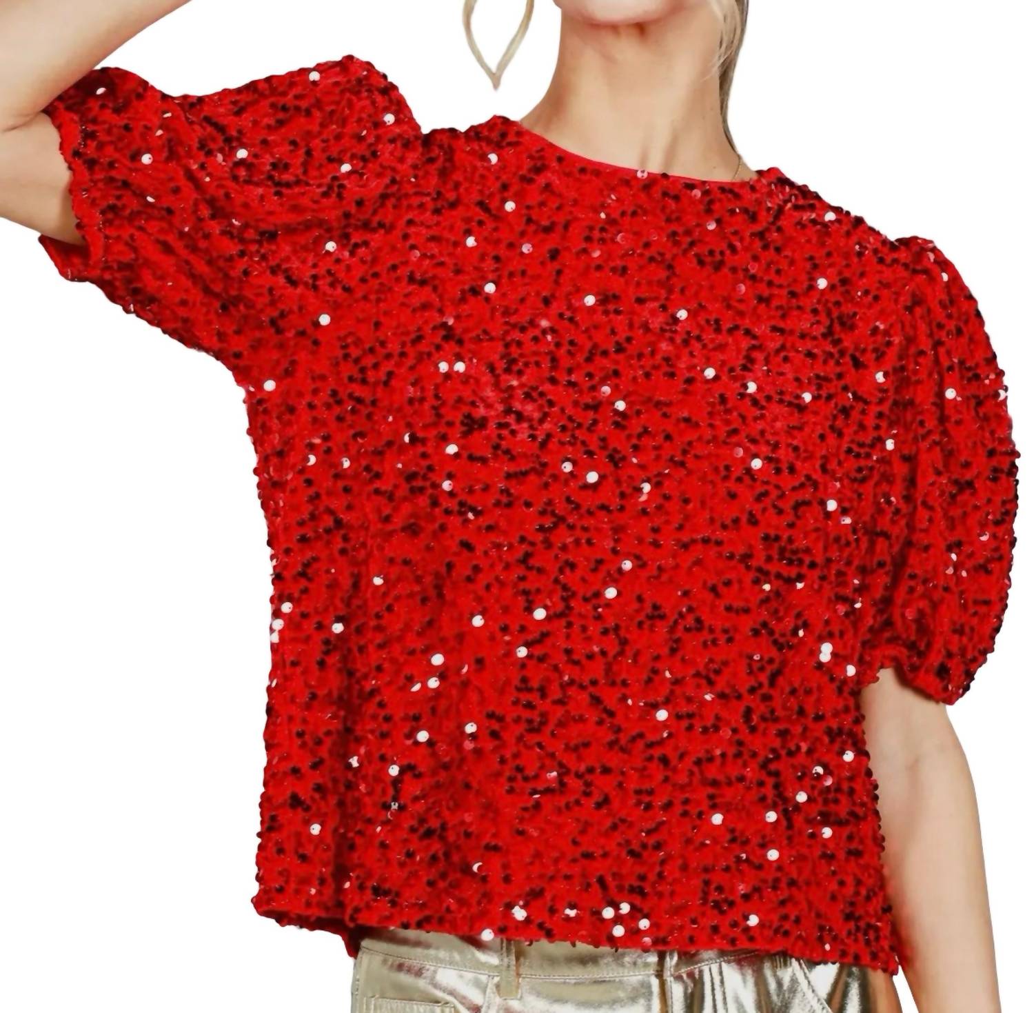 Vine & Love - Velvet Sequin Accent Puff Sleeve Blouse