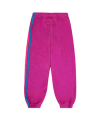 Aviator Nation - Kids 5 Stripe Sweatpants