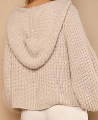 Pol - Hooded V-neck Balloon Sleeve Pullover