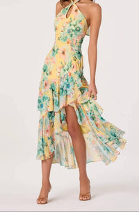 Astr - Bethina Dress