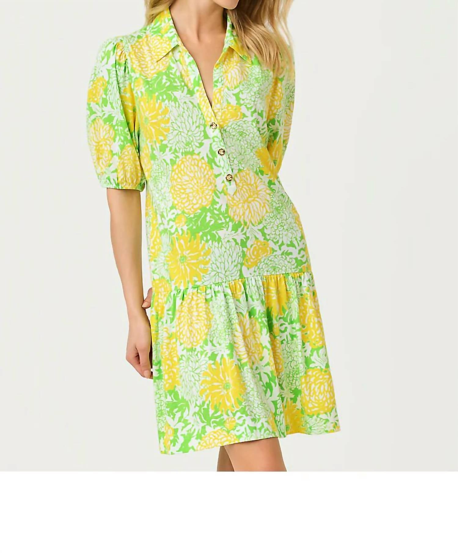 Lilly Pulitzer - Bingley Dress