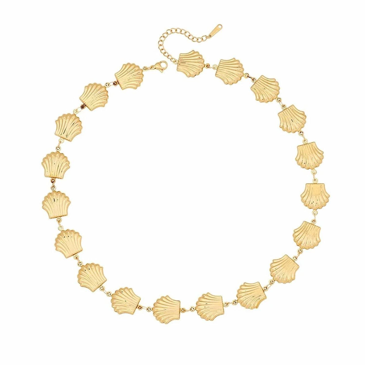 Josslyn By Wall To Wall - Women's Seashell Station Necklace