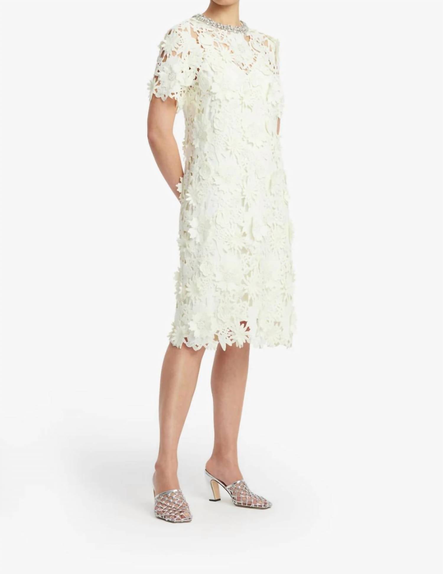Leo Lin - Sheridan Embellished Lace Midi Dress