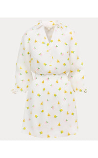 Lilly Pulitzer - Abralynn Embroidered Linen Shirtdress