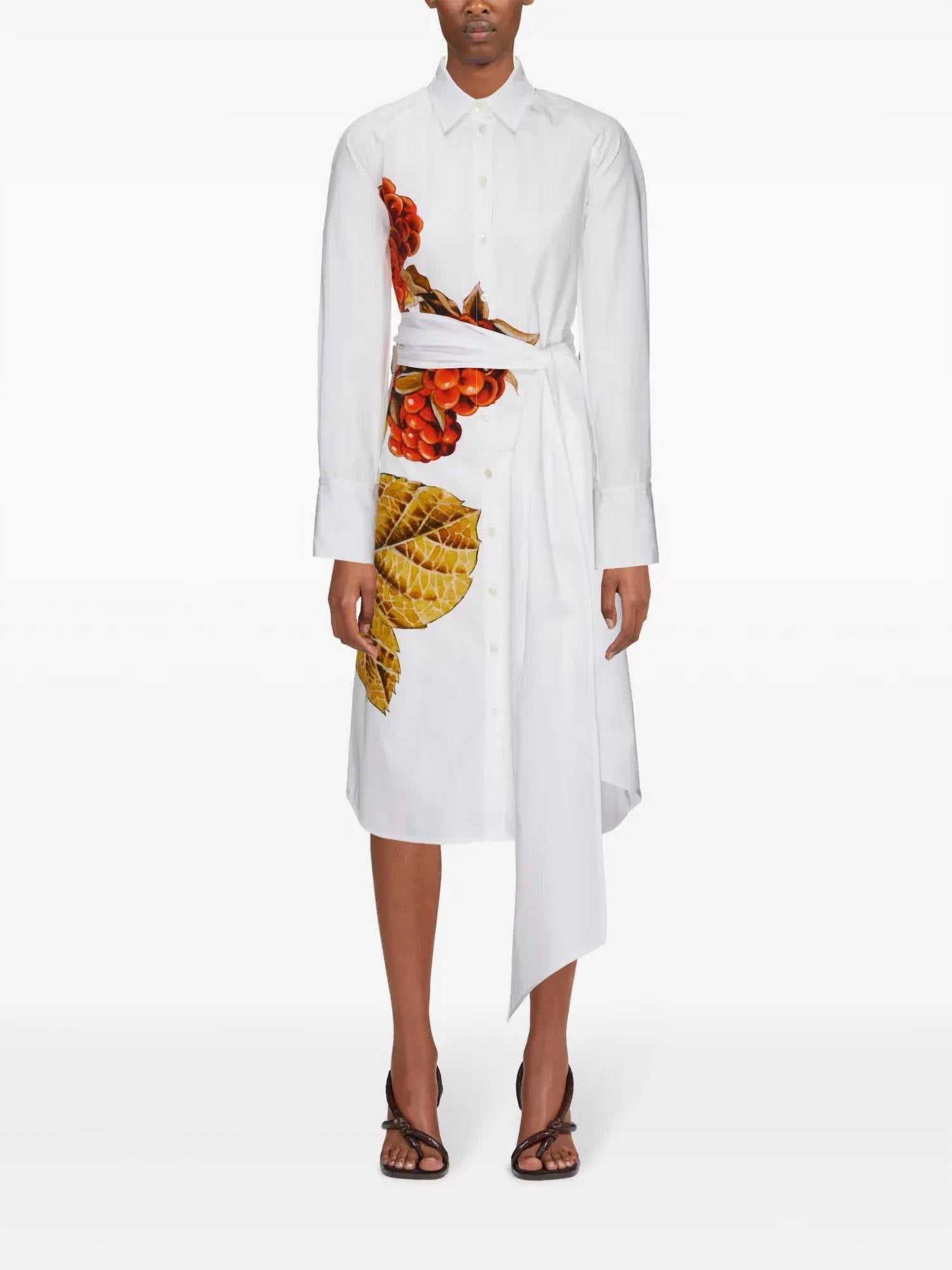 Salvatore Ferragamo - Botanical Print Shirt Dress