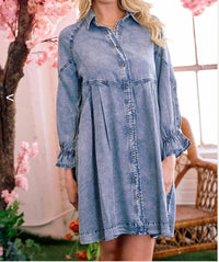 Doe And Rae - Becca Front Button Denim Dress