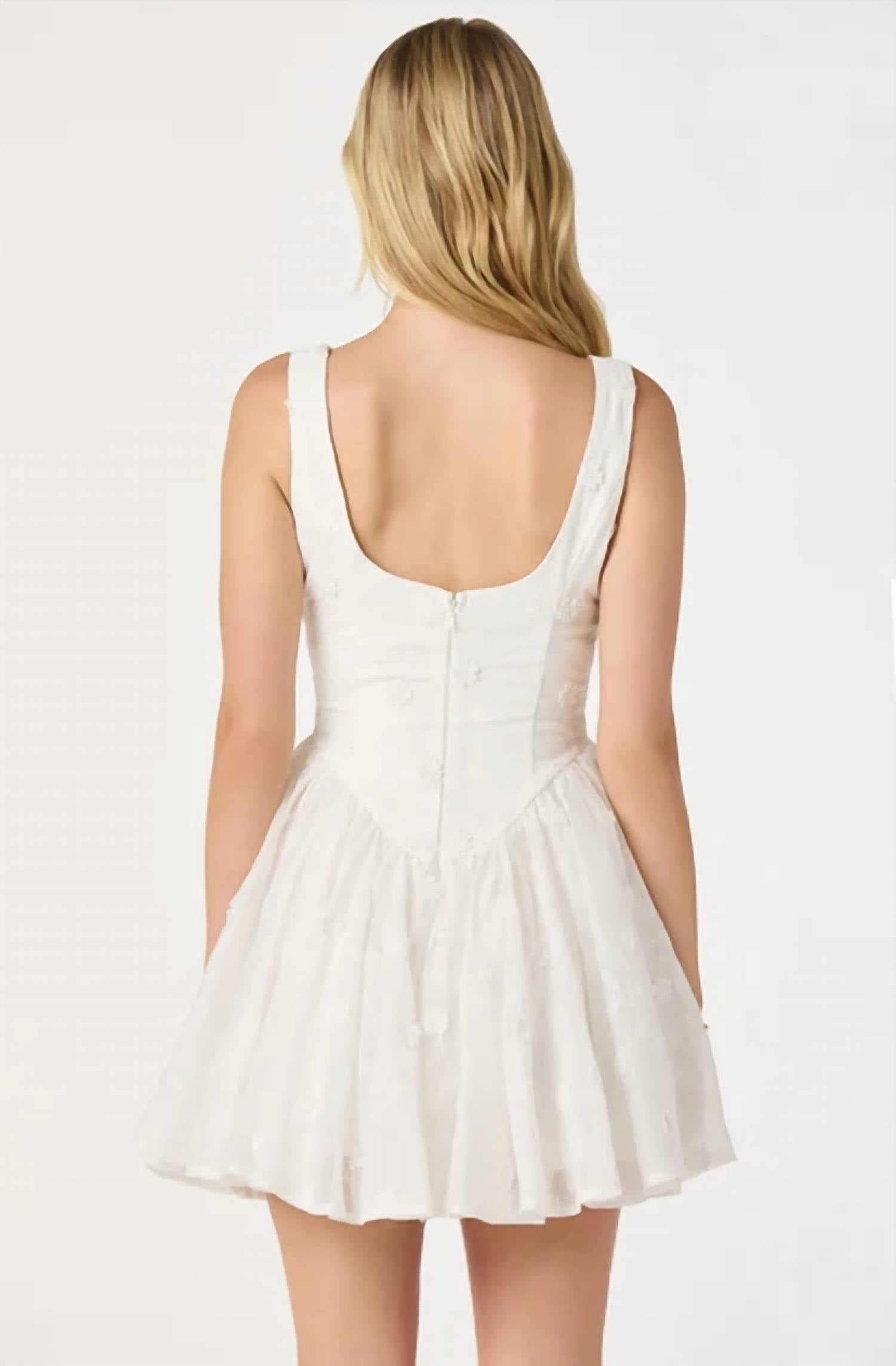 Astr - Reina Embroidered Floral Mini Dress