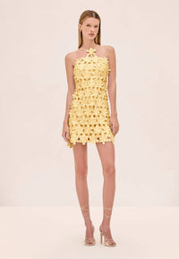 Alexis - Lily Mini Dress