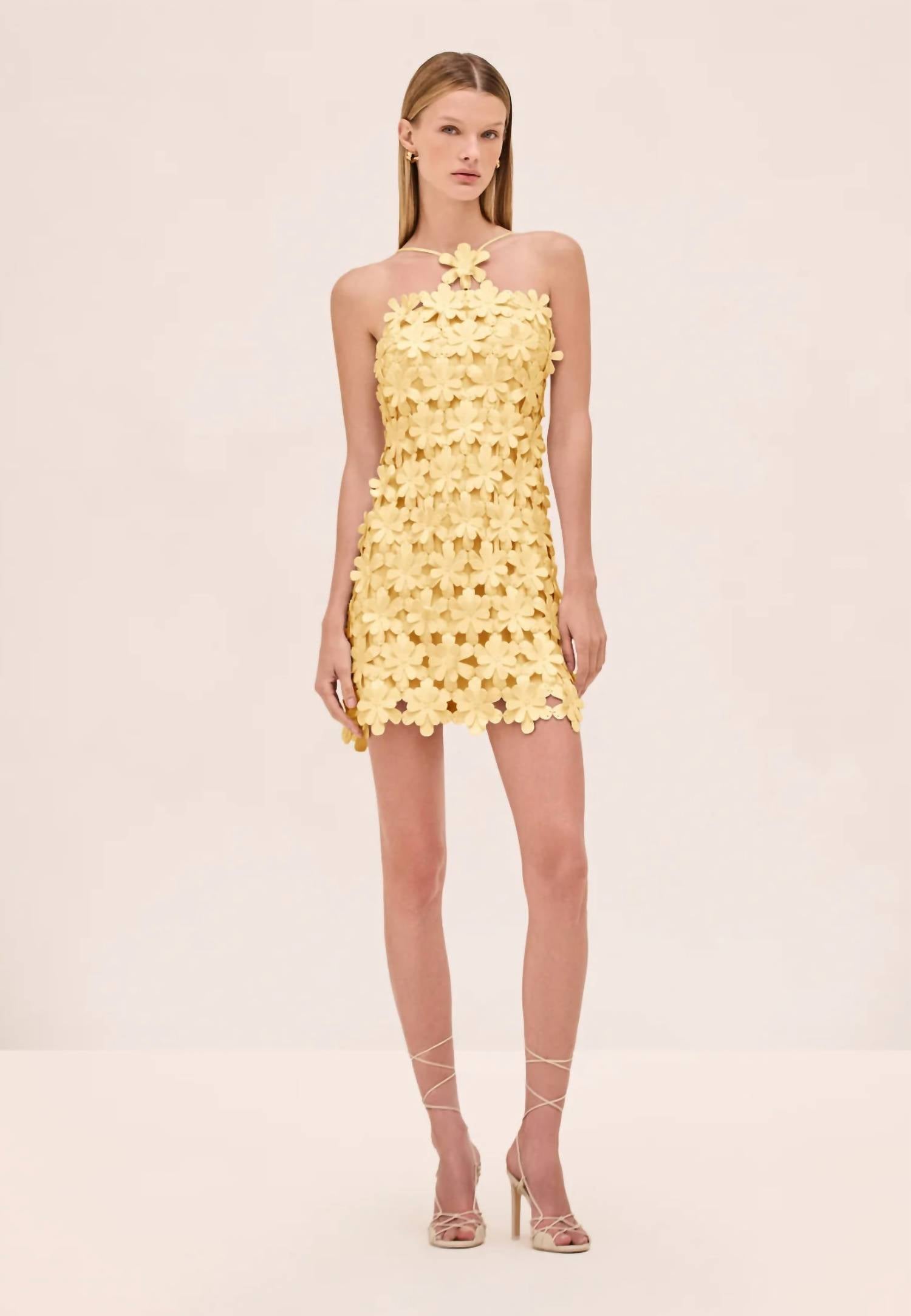 Alexis - Lily Mini Dress