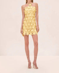 Alexis - Lily Mini Dress