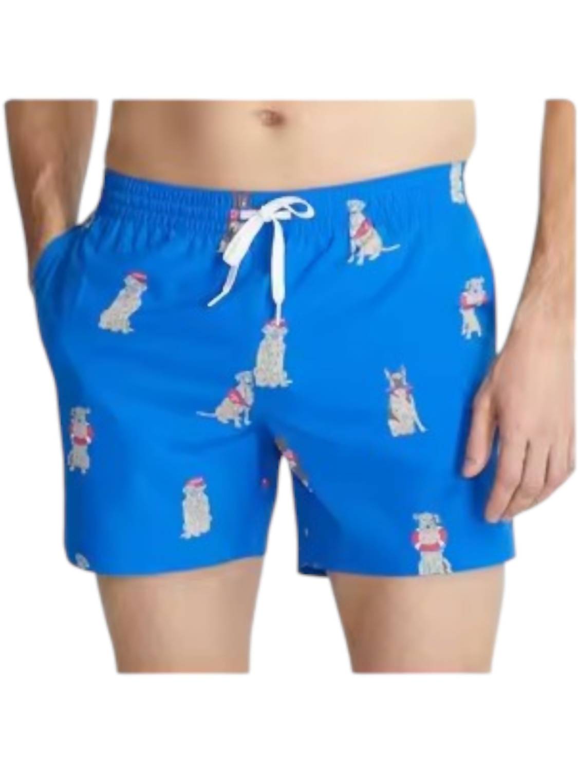 Chubbies - I Let The Dogs Out Swim Trunks