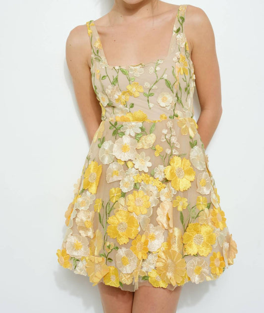 Ina - Sleeveless 3d Floral Embroidered Mini Dress