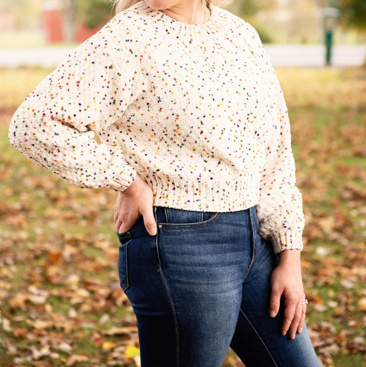 En Creme - Confetti Crew Neck Sweater